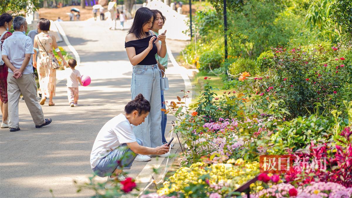 百乐彩120路